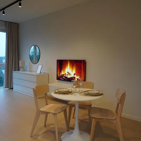 Cosy And Fully Equipped アントウェルペン